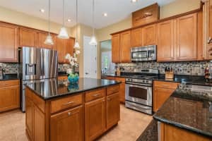 10324 PALLADIO DRIVE, NEW PORT RICHEY, FL 34655 Sold 06/12/23