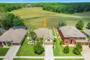 15141 PRINCEWOOD LANE, LAND O LAKES, FL 34638 Sold 08/18/23