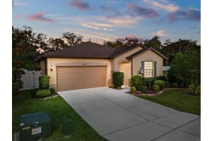 15591 STONE HOUSE DRIVE, BROOKSVILLE, FL 34604 Sold 06/30/23