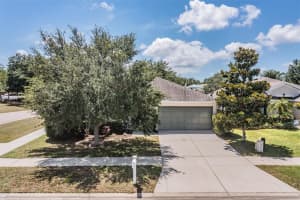 711 ALPINE THISTLE DRIVE, BROOKSVILLE, FL 34604 Sold 09/19/23