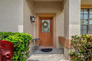 555 HOLLOWTREE PLACE, TARPON SPRINGS, FL 34688 Sold 06/26/23