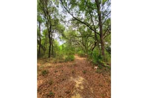 HUDSON, HUDSON, FL 34667 - MLS#MFRW7854799