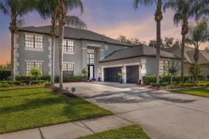 15225 PRINCEWOOD LANE, LAND O LAKES, FL 34638 Sold 07/18/23