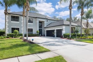 15225 PRINCEWOOD LANE, LAND O LAKES, FL 34638 Sold 07/18/23