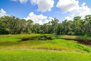 3980 WATSON DRIVE, NEW PORT RICHEY, FL 34655 Sold 08/14/23