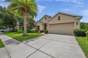 11031 BELLE HAVEN DRIVE, NEW PORT RICHEY, FL 34654 Sold 08/25/23
