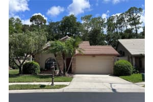 3618 DARSTON STREET, PALM HARBOR, FL 34685 Sold 07/28/23