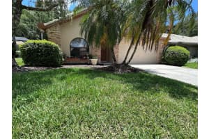 3618 DARSTON STREET, PALM HARBOR, FL 34685 Sold 07/28/23