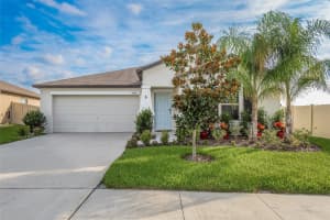 6479 SPIDER LILY WAY, NEW PORT RICHEY, FL 34653 Sold 08/10/23