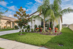 6479 SPIDER LILY WAY, NEW PORT RICHEY, FL 34653 Sold 08/10/23