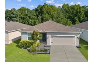 18628 HUNTERS MEADOW WALK, LAND O LAKES, FL 34638 Sold 09/05/23