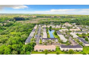 12290 COUNTRY WHITE CIRCLE, TAMPA, FL 33635 Sold 09/18/23