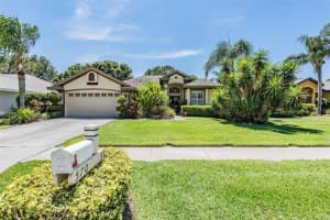 570 EQUINE DRIVE, TARPON SPRINGS, FL 34688 Sold 09/05/23