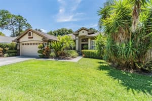 570 EQUINE DRIVE, TARPON SPRINGS, FL 34688 Sold 09/05/23
