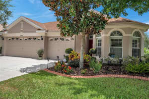 11065 BREMERTON COURT, NEW PORT RICHEY, FL 34654 Sold 08/08/23