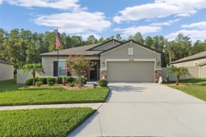 18786 ALFARO LOOP, SPRING HILL, FL 34610 Sold 09/07/23