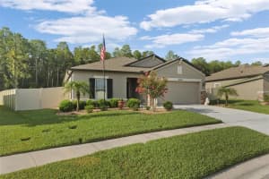18786 ALFARO LOOP, SPRING HILL, FL 34610 Sold 09/07/23
