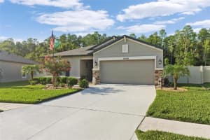 18786 ALFARO LOOP, SPRING HILL, FL 34610 Sold 09/07/23