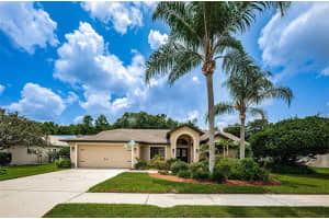 1715 PERCHERON DRIVE, TRINITY, FL 34655 Sold 08/21/23