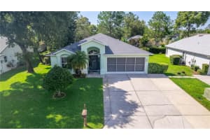 10321 RAVINES DRIVE, NEW PORT RICHEY, FL 34654 Sold 08/25/23