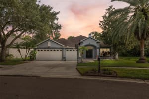 11111 BRIDGECREEK DRIVE, RIVERVIEW, FL 33569 Sold 11/10/23