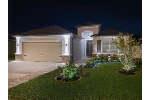 14620 BALLOCH DRIVE, HUDSON, FL 34667 Sold 09/11/23