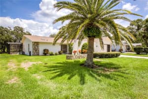 3828 THORNBUSH LANE, NEW PORT RICHEY, FL 34655 Sold 11/10/23