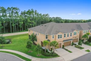 5630 GRAND SONATA AVENUE, LUTZ, FL 33558 Sold 10/10/23