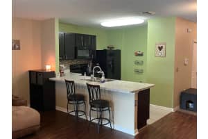 12909 SHADY FERN LANE, GIBSONTON, FL 33534 Sold 12/22/23