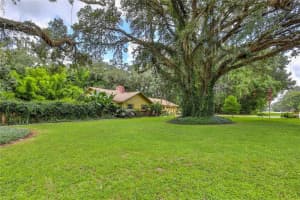 449 MONROE AVENUE, BROOKSVILLE, FL 34604 Sold 10/27/23