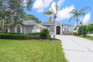 23222 EMERSON WAY, LAND O LAKES, FL 34639 Sold 12/08/23