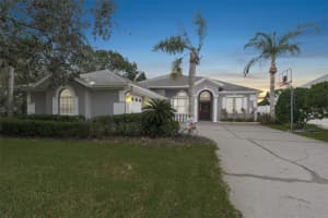 23222 EMERSON WAY, LAND O LAKES, FL 34639 Sold 12/08/23