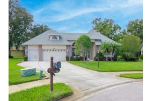 6655 GARDEN PALM COURT, NEW PORT RICHEY, FL 34655 Sold 11/17/23