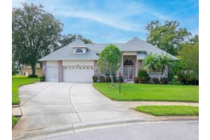 6655 GARDEN PALM COURT, NEW PORT RICHEY, FL 34655 Sold 11/17/23