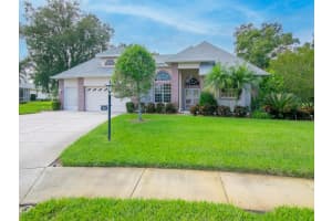 6655 GARDEN PALM COURT, NEW PORT RICHEY, FL 34655 Sold 11/17/23