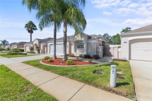 295 ROYAL PALM WAY, SPRING HILL, FL 34608 Sold 03/08/24