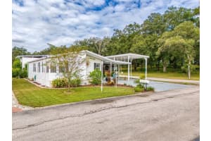 10101 AIRETOP AVENUE, DADE CITY, FL 33525 - MLS#MFRW7858714