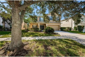 8904 RIVER ROAD, TAMPA, FL 33635 Sold 01/31/24