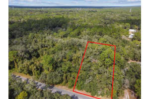 0 SW 155TH ST, DUNNELLON, FL 34432 Sold 05/23/25