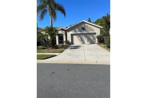 21205 DIAMONTE DRIVE, LAND O LAKES, FL 34637 Sold 05/07/24