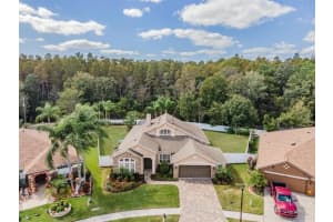 16410 NIKKI LANE, ODESSA, FL 33556 Sold 12/05/23