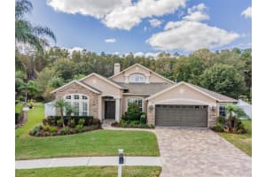 16410 NIKKI LANE, ODESSA, FL 33556 Sold 12/05/23