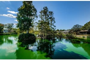 3912 TIDEWATER ROAD, NEW PORT RICHEY, FL 34655 Sold 12/28/23