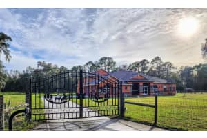 25406 LADYHAWK LANE, BROOKSVILLE, FL 34601 Sold 10/31/24