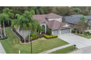 16048 IVY LAKE DRIVE, ODESSA, FL 33556 Sold 01/05/24