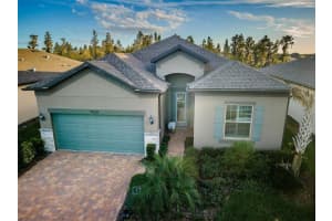 19226 COASTAL SHORE TERRACE, LAND O LAKES, FL 34638 Sold 02/01/24