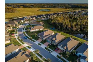 19226 COASTAL SHORE TERRACE, LAND O LAKES, FL 34638 Sold 02/01/24