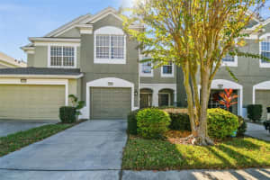 10159 PINK PALMATA COURT, RIVERVIEW, FL 33578 Sold 07/02/24