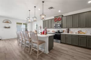13746 GARDEN HILLS DRIVE, SPRING HILL, FL 34609 Sold 02/09/24