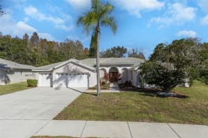 3193 STERLING STREET, TARPON SPRINGS, FL 34688 Sold 04/08/24